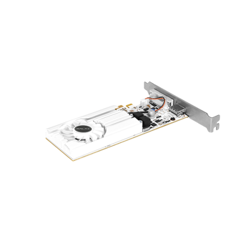 GALAX GeForce GT 1030 EXOC White Graphics Card