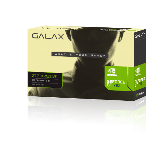 GALAX GeForce GT 710 2GB Graphics Card