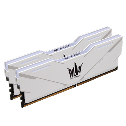 【オープニング大セール】 HOF GALAX OC RAM - (8G*2) 16G DDR4-4000 Aurora Lab メモリー